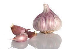 Purple garlic France.jpg